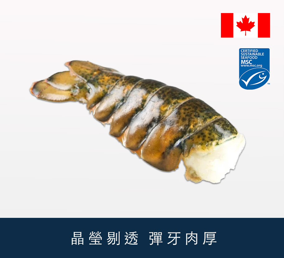 加拿大急凍生龍蝦尾 140g