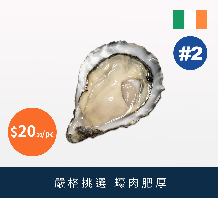 #2 愛爾蘭MÓR Spéciale 活蠔 12pc